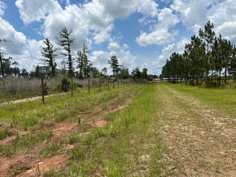 Agricultural fencing in Quincy, Florida
