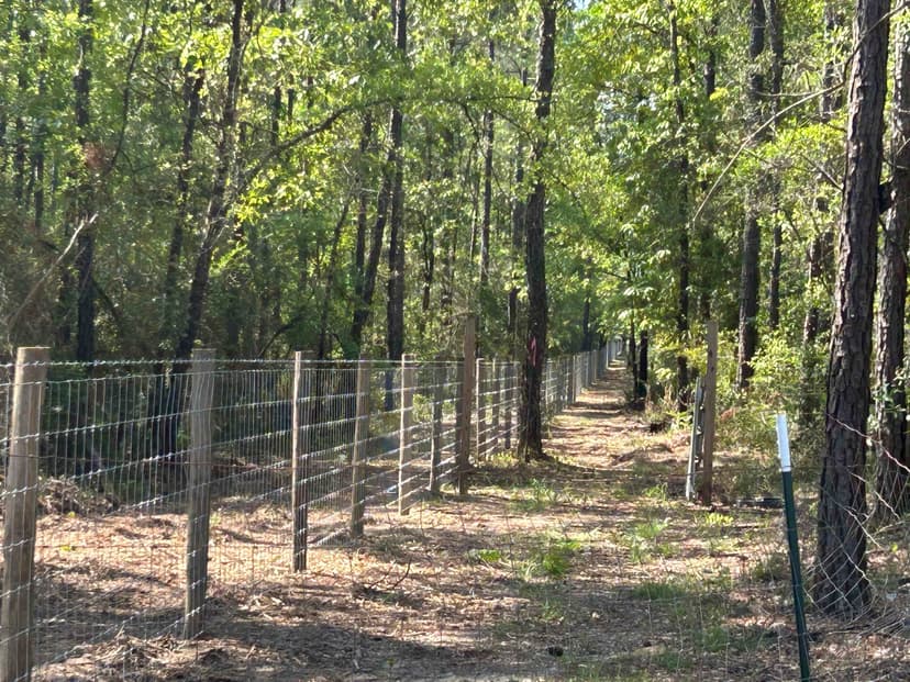 Agricultural fencing in Blountstown, Florida