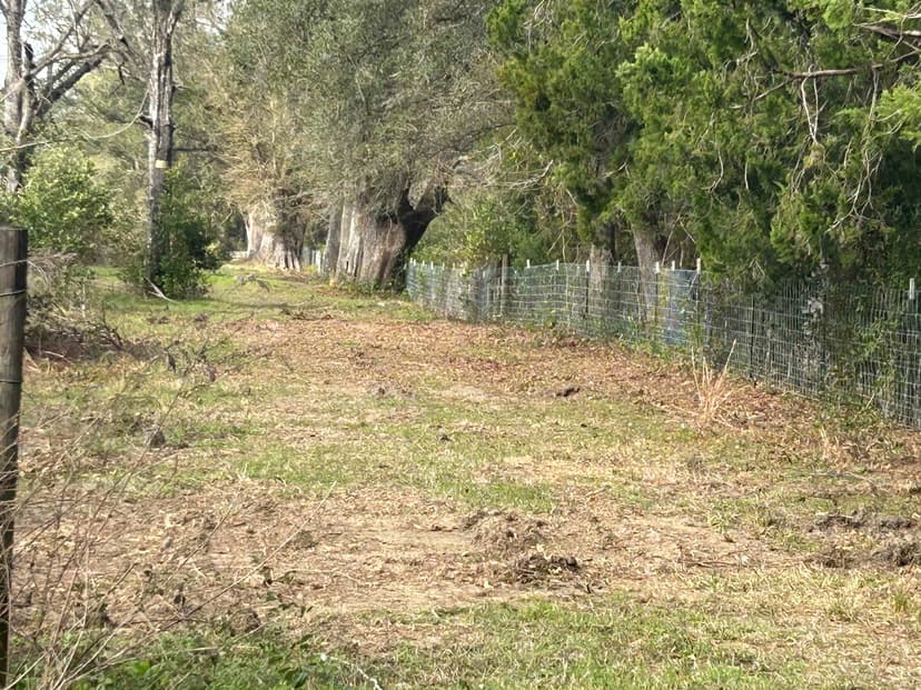 Livestock Fence
