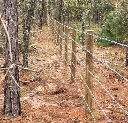 Barbed Wire Fence Installation: Security and Durability