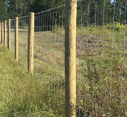 Farm Fencing Installation: Durable and Affordable Options