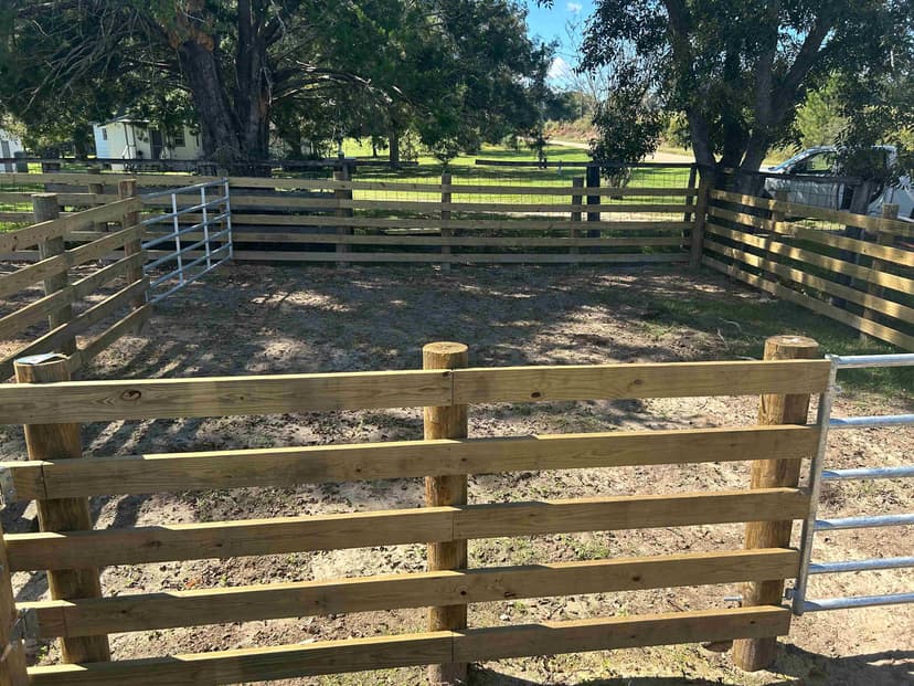 Horse Fence