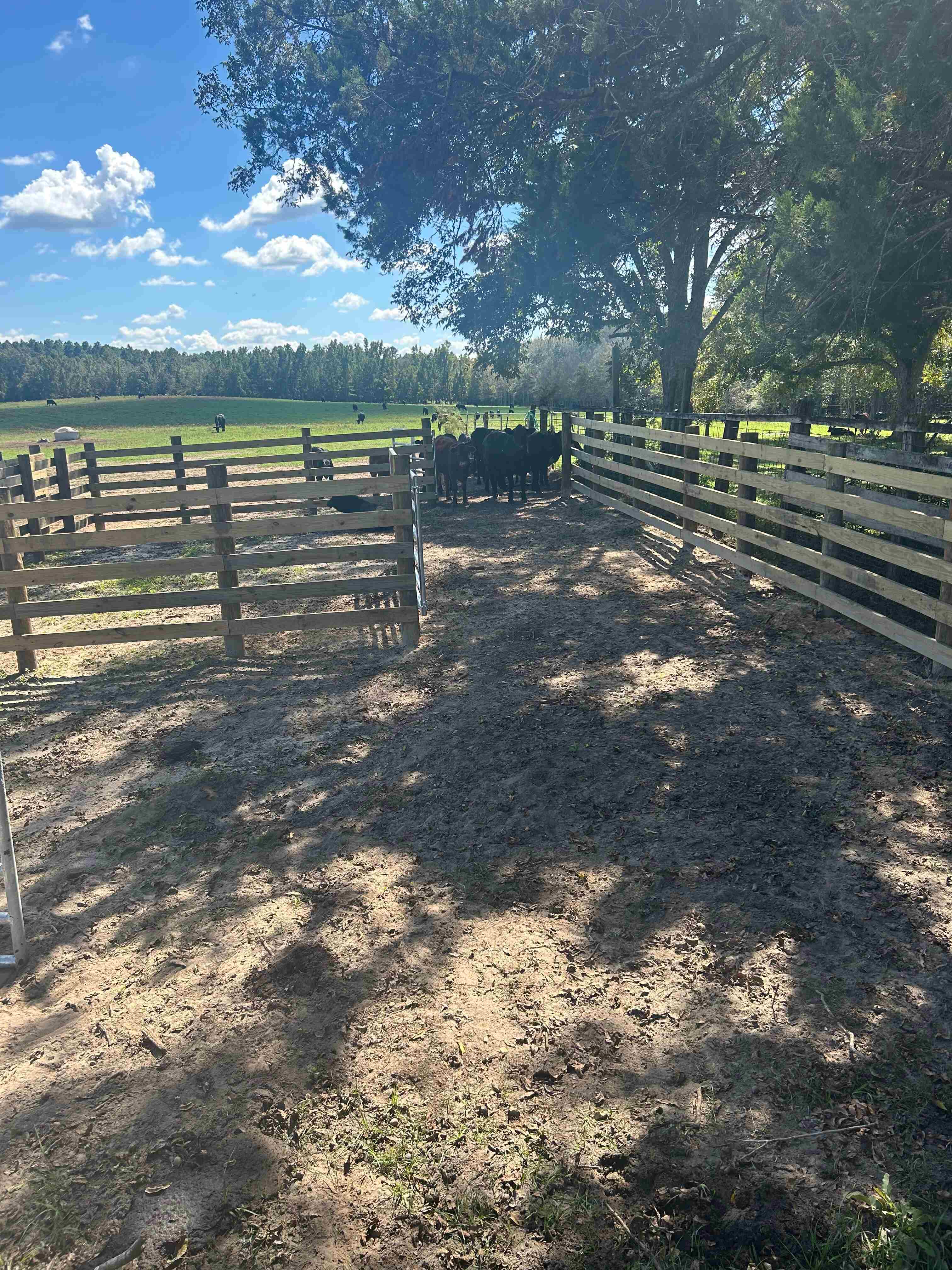 Livestock Fence Installation: Specialized Animal Containment