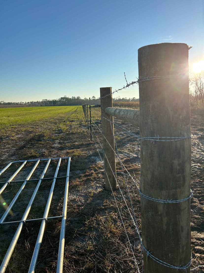 Durable Wood or Steel Posts