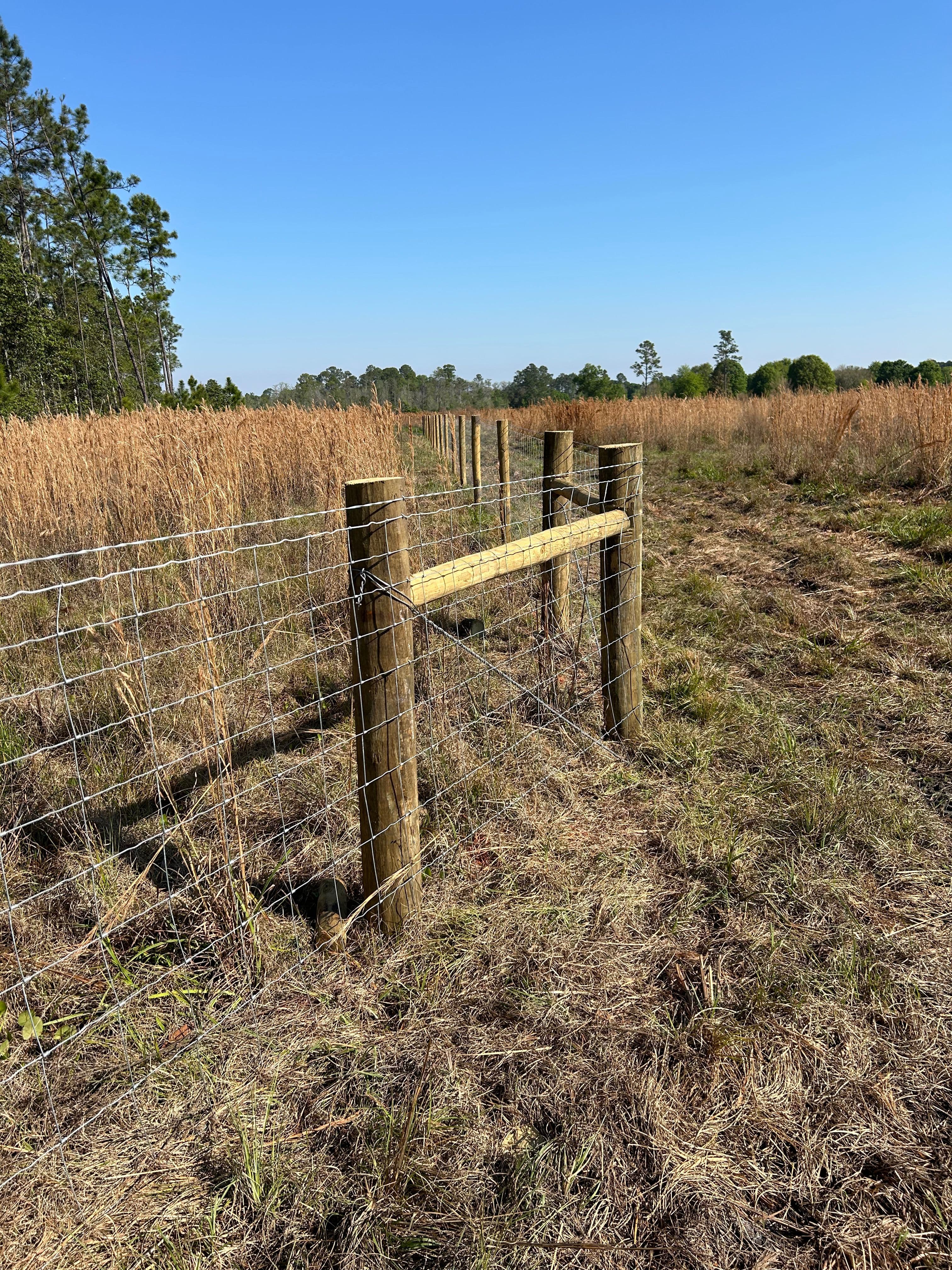 Long stretch of wire fence running along the edge of a farm field