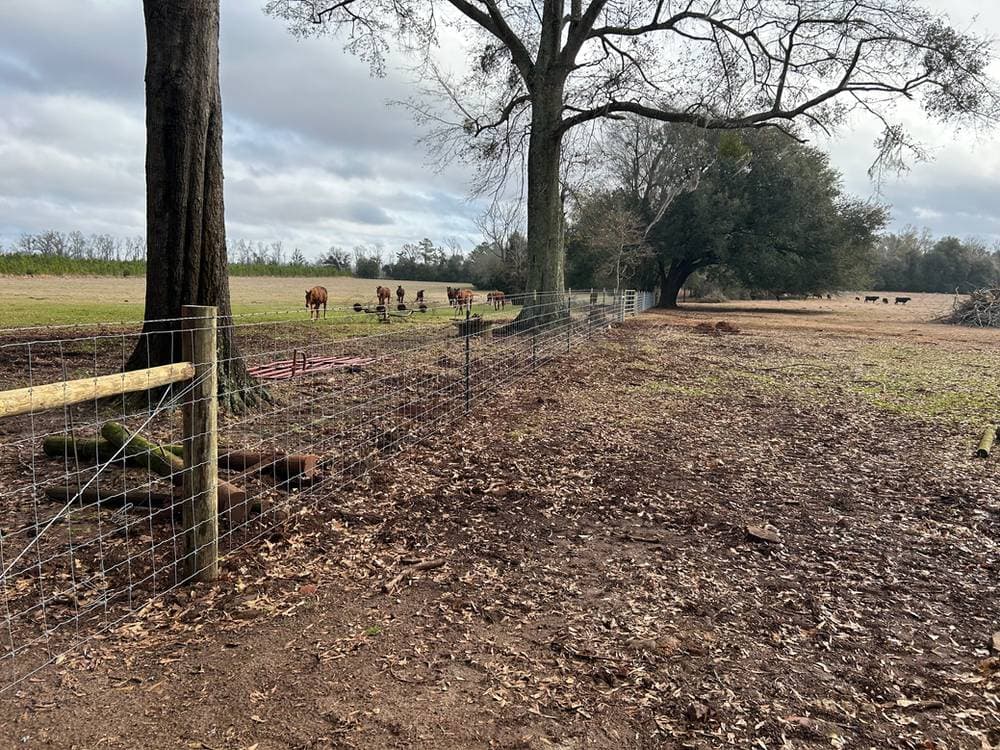 Why Choose Us Background