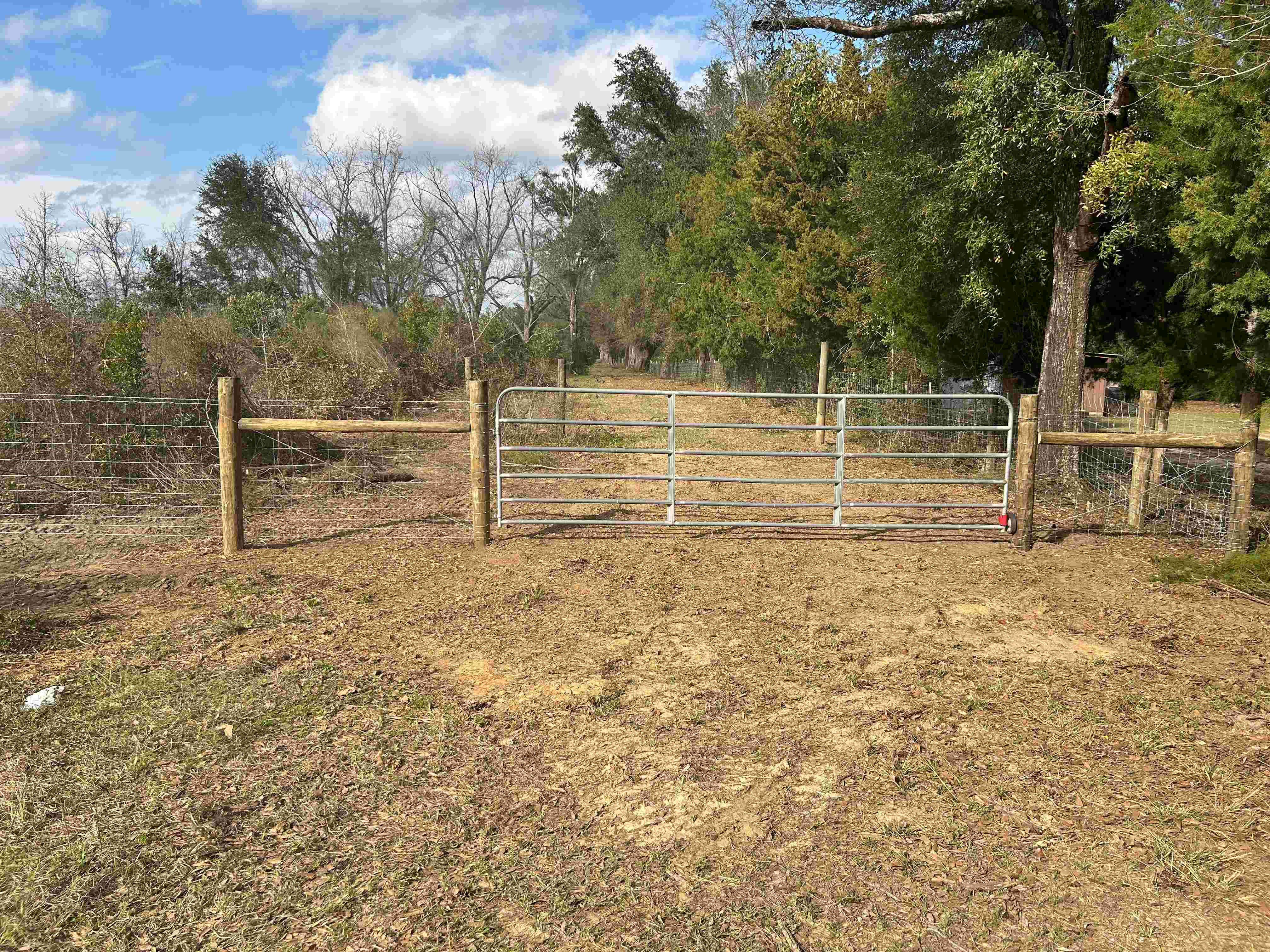 Why Choose Us Background