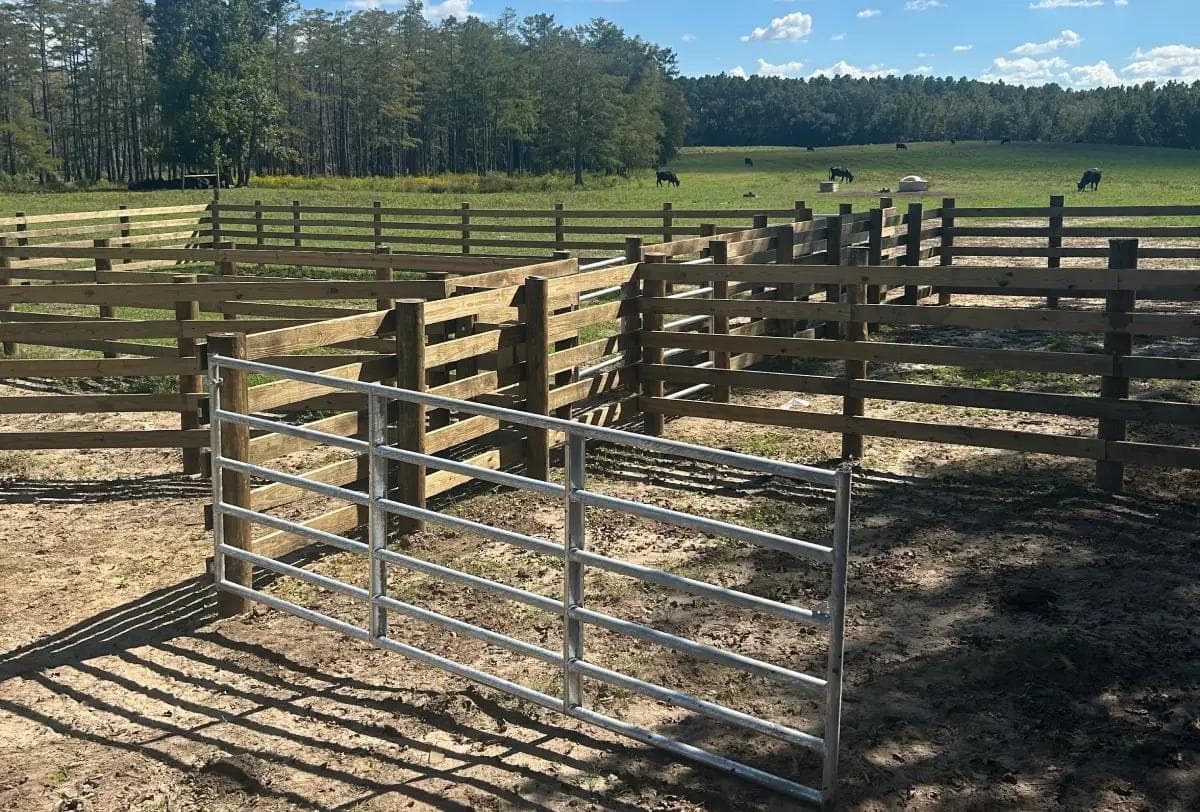 Completed livestock corral and sorting alley – Bomann Fencing Wooden livestock fencing with metal gates installed on a farm pasture for cattle containment