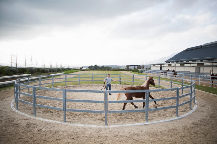 A Horse Fence Corral
